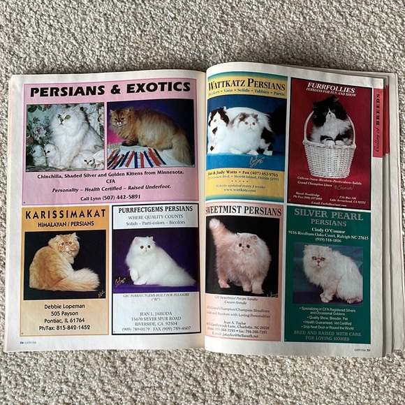 Vintage CATS USA 1999 ANNUAL Magazine Perfect for any cat lover - Picture 7 of 7